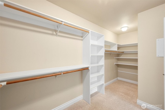 2108 S 18th St, Mount Vernon, WA 98274 - walk in closet featuring light colored carpet