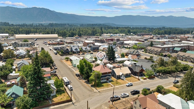 312 E 3rd St, Cle Elum, WA 98922 - photo 39