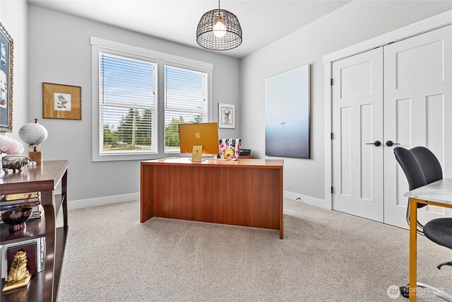 2101 Snowbush St, Lynden, WA 98264 - photo 25