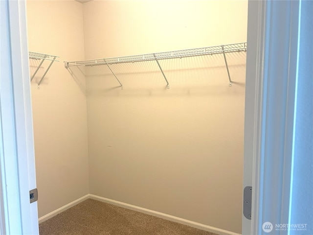 921 Westridge Way NE # 102, Issaquah, WA 98029 - spacious closet with carpet flooring
