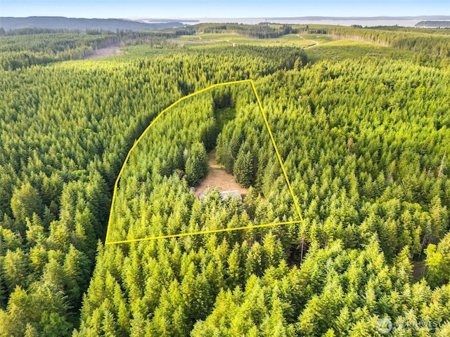 2733 Teal Lake Rd, Port Ludlow, WA 98365 - aerial view of property's location with a forest and property boundaries highlighted