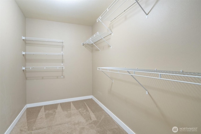 2733 Teal Lake Rd, Port Ludlow, WA 98365 - spacious closet featuring carpet flooring