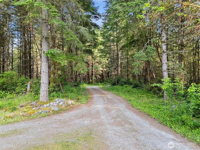 2733 Teal Lake Rd, Port Ludlow, WA 98365 - view of dirt / gravel road featuring a forest view