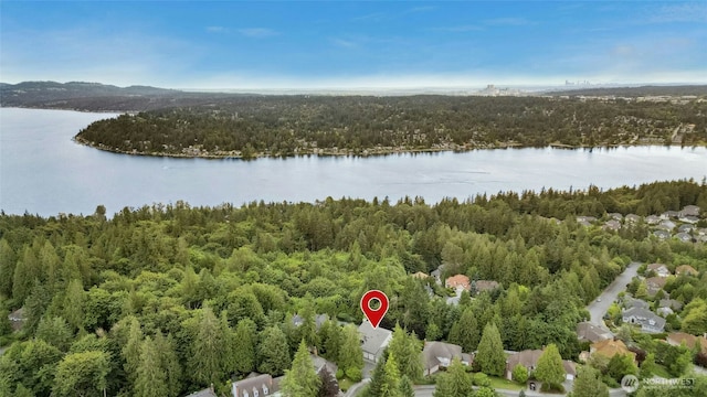 20005 NE 42nd St, Sammamish, WA 98074 - photo 37