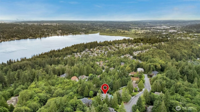 20005 NE 42nd St, Sammamish, WA 98074 - photo 38