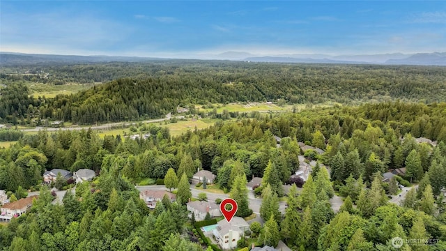 20005 NE 42nd St, Sammamish, WA 98074 - photo 39