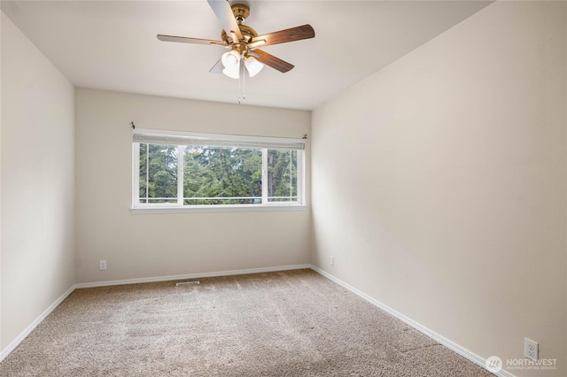 7615 198th St SE, Spanaway, WA 98387 - photo 30