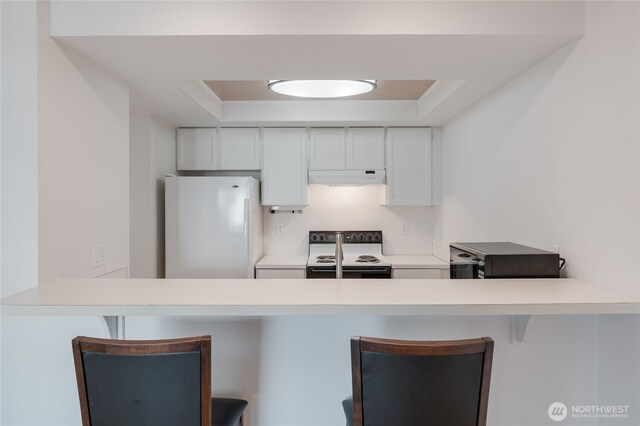 6055 35th Ave SW Unit 308, Seattle, WA 98126 - kitchen with range with electric cooktop, freestanding refrigerator, under cabinet range hood, a peninsula, and light countertops