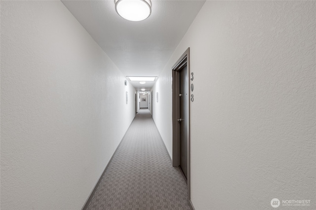 6055 35th Ave SW Unit 308, Seattle, WA 98126 - corridor featuring carpet flooring