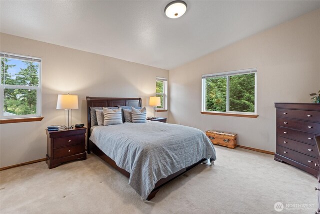 5207 170th St E, Tacoma, WA 98446 - bedroom with light carpet, vaulted ceiling, and multiple windows