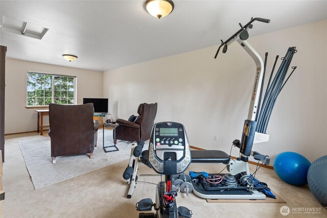 5207 170th St E, Tacoma, WA 98446 - exercise room with carpet and attic access