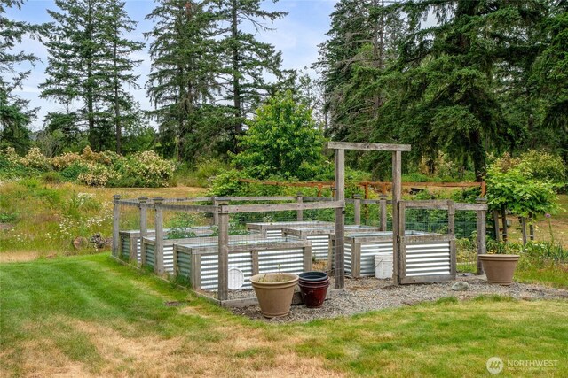 5207 170th St E, Tacoma, WA 98446 - view of green lawn with a garden