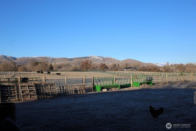 79 Duck Lake Rd, Omak, WA 98841 - view of yard with a view of rural / pastoral area and a mountain view