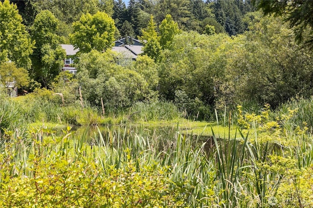 16107 NE 90th Way Unit 3304, Redmond, WA 98052 - view of wooded area