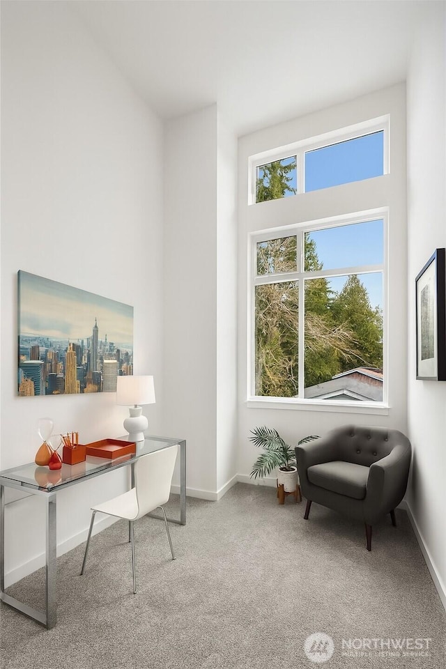 16547 NE 92nd Pl Unit 6A, Redmond, WA 98052 - carpeted office featuring baseboards