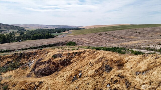 0 Bolles Rd, Waitsburg, WA 99361 - photo 1