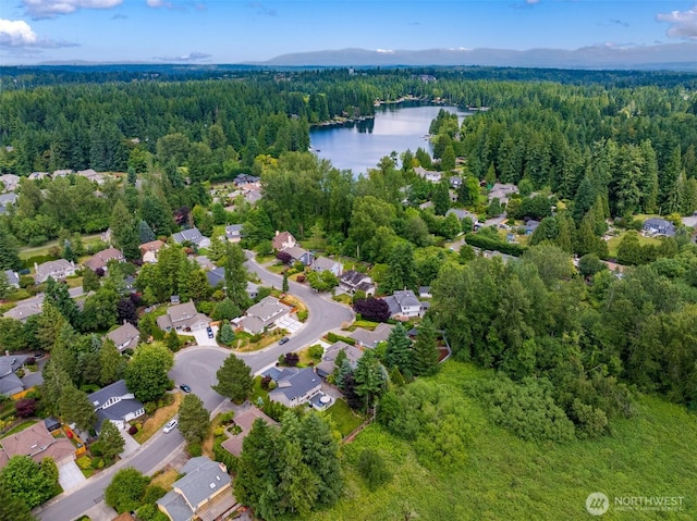 21227 SE 29th St, Sammamish, WA 98075 - aerial perspective of suburban area featuring a heavily wooded area and a large body of water