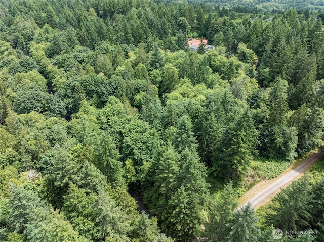 4826 SE Sleepy Hollow Ct, Port Orchard, WA 98366 - photo 40