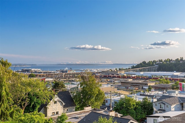 2241 13th Ave W, Seattle, WA 98119 - drone / aerial view of a nearby body of water
