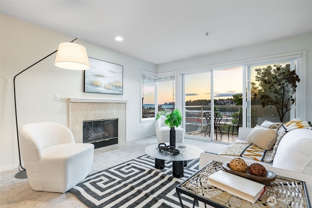 2241 13th Ave W, Seattle, WA 98119 - living area with carpet, a premium fireplace, and recessed lighting