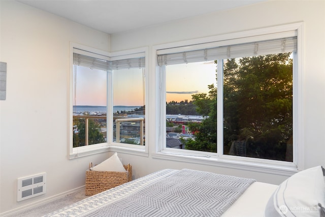 2241 13th Ave W, Seattle, WA 98119 - carpeted bedroom featuring heating unit and baseboards