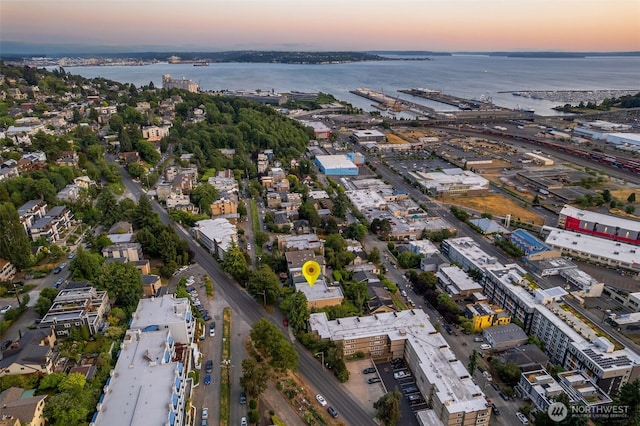 2241 13th Ave W, Seattle, WA 98119 - aerial view at dusk of a water view