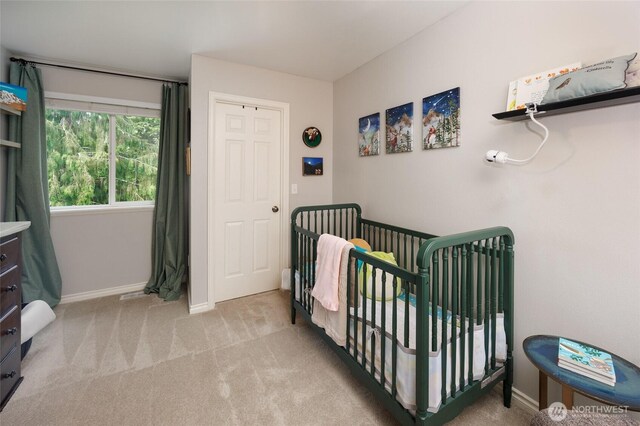 20815 82nd St SE, Snohomish, WA 98290 - photo 28