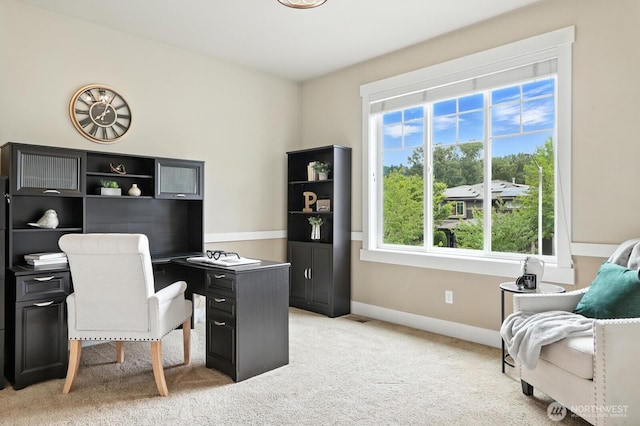 15113 98th Ct NE, Bothell, WA 98011 - photo 16
