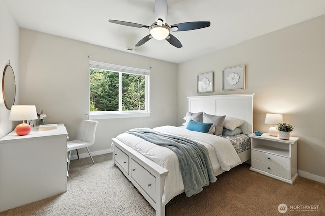 15113 98th Ct NE, Bothell, WA 98011 - photo 24