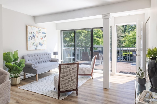 8845 166th Ave NE Unit B101, Redmond, WA 98052 - living room with plenty of natural light and wood finished floors