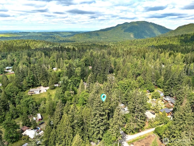 14531 262nd Ave SE, Issaquah, WA 98027 - aerial view of a heavily wooded area and mountains