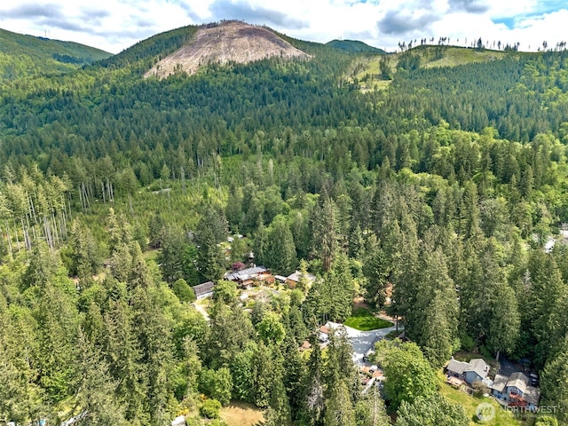 14531 262nd Ave SE, Issaquah, WA 98027 - view of mountain backdrop with a heavily wooded area