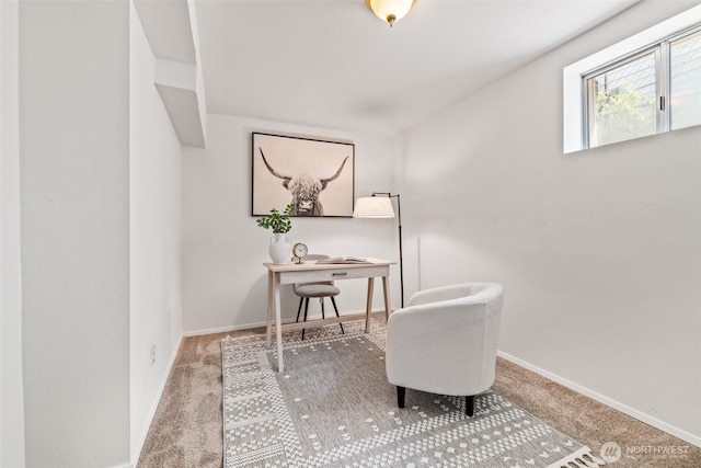 6719 46th Ave S, Seattle, WA 98118 - carpeted office space featuring baseboards