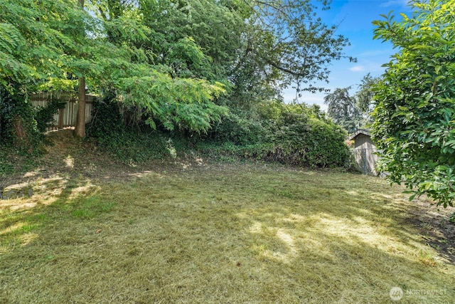 6719 46th Ave S, Seattle, WA 98118 - view of yard