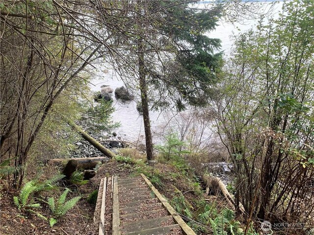 547 Raccoon Point Rd, Orcas Island, WA 98245