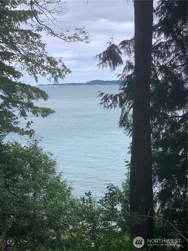 547 Raccoon Point Rd, Orcas Island, WA 98245