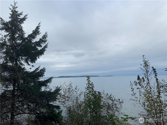 547 Raccoon Point Rd, Orcas Island, WA 98245