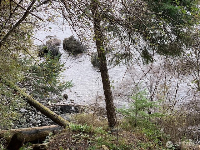 547 Raccoon Point Rd, Orcas Island, WA 98245