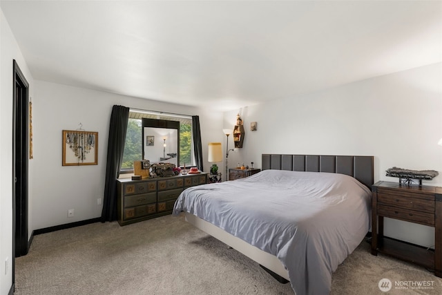 1521 90th Dr NE, Lake Stevens, WA 98258 - view of carpeted bedroom