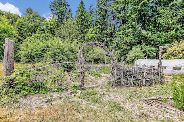 1400 Baby Doll Rd SE, Port Orchard, WA 98366 - view of yard