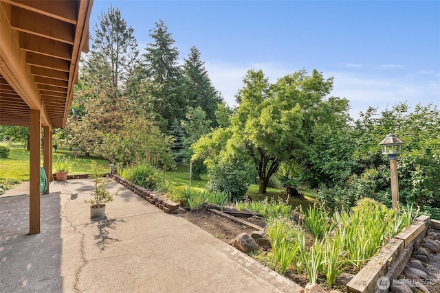 107 Gilbert Rd N, Onalaska, WA 98570 - view of patio / terrace featuring view of scattered trees