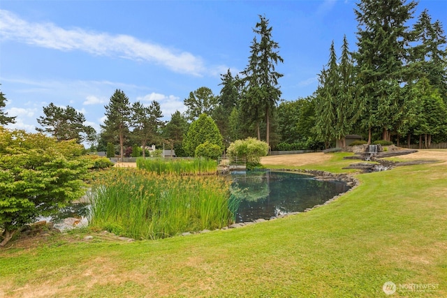 1514 232nd Pl SW, Bothell, WA 98021 - view of green lawn