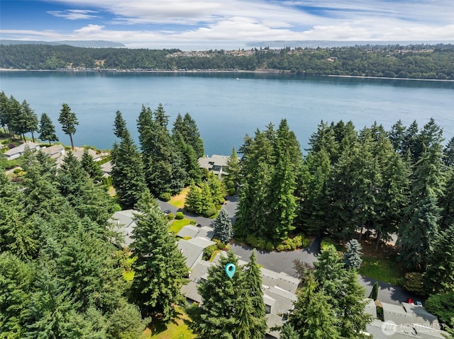909 30th St NW Unit 2C, Gig Harbor, WA 98335 - photo 37