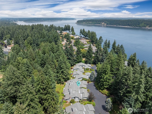 909 30th St NW Unit 2C, Gig Harbor, WA 98335 - photo 38