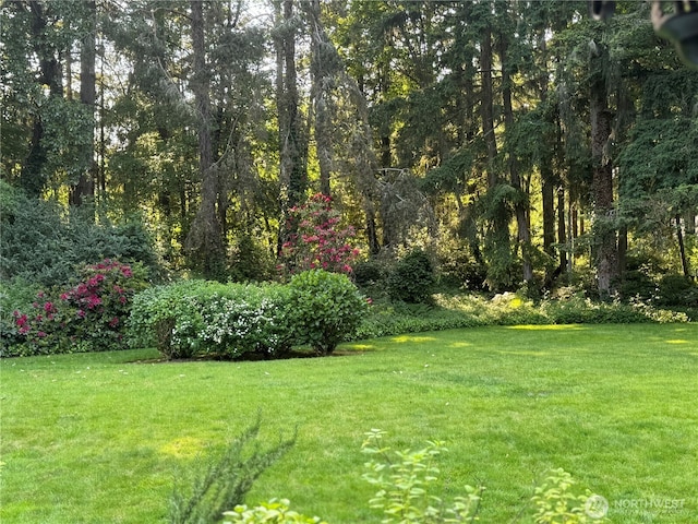 909 30th St NW Unit 2C, Gig Harbor, WA 98335 - photo 22
