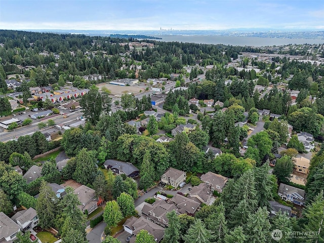 12924 NE 87th St, Kirkland, WA 98033 - photo 39