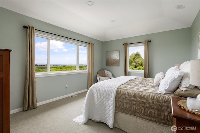 179 Perry Dr, Coupeville, WA 98239 - bedroom featuring carpet and multiple windows