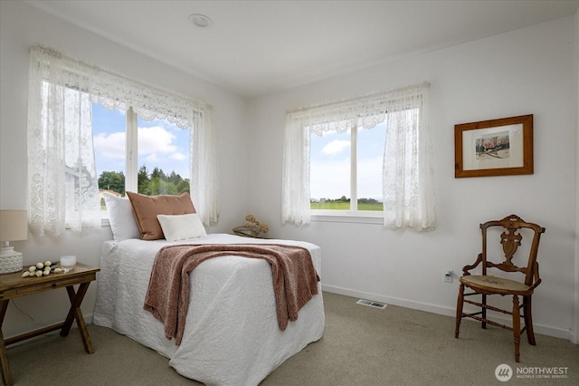 179 Perry Dr, Coupeville, WA 98239 - bedroom with multiple windows and carpet flooring
