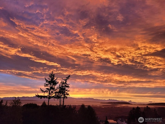 179 Perry Dr, Coupeville, WA 98239 - view of undeveloped land featuring a mountain backdrop