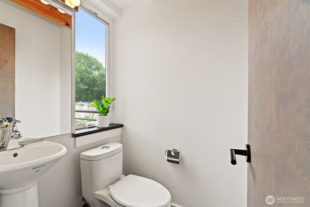 2467 S College St, Seattle, WA 98144 - photo 22